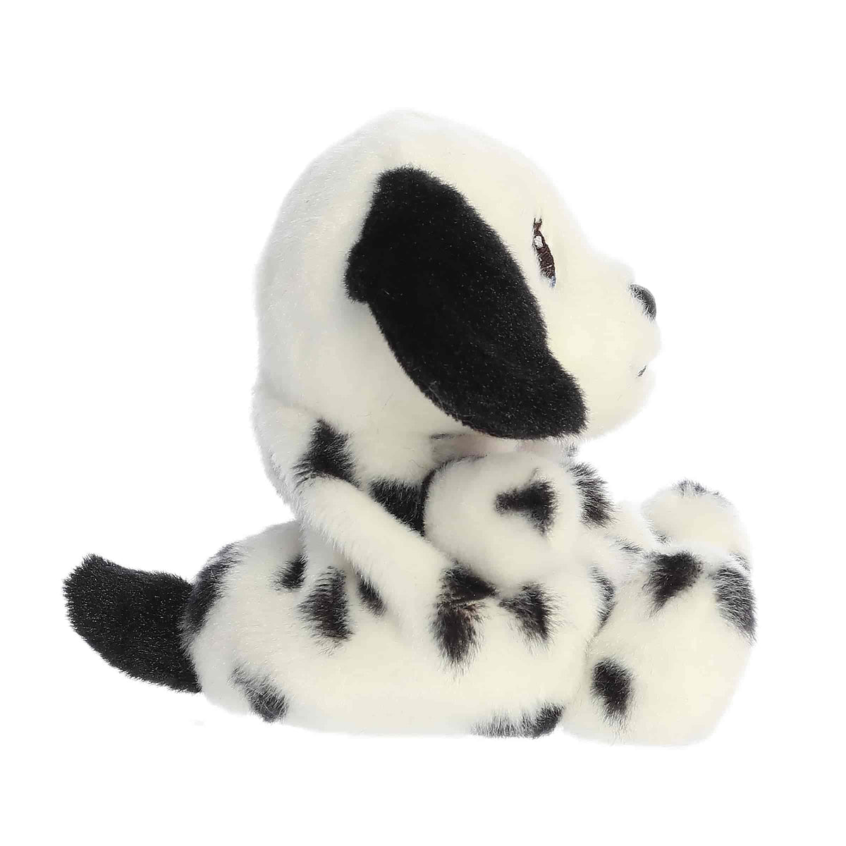 Barkley Dalmatian