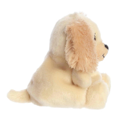 Daniel Spaniel