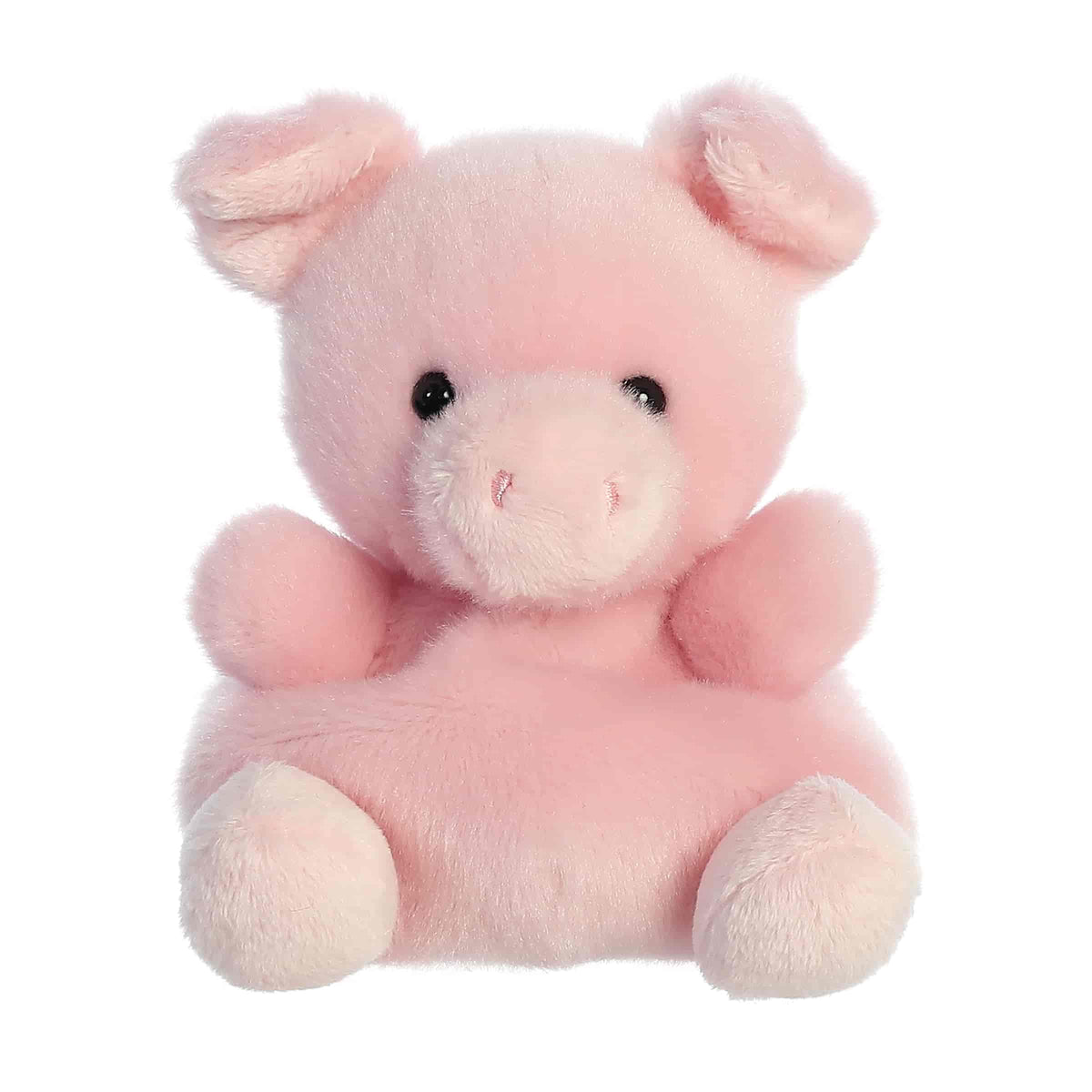 Wizard Pig™
