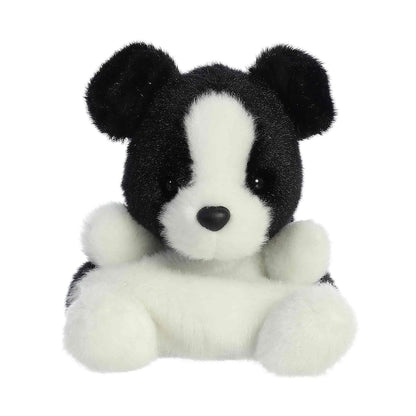 Brody Collie™