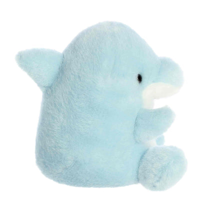 Clicks Dolphin™