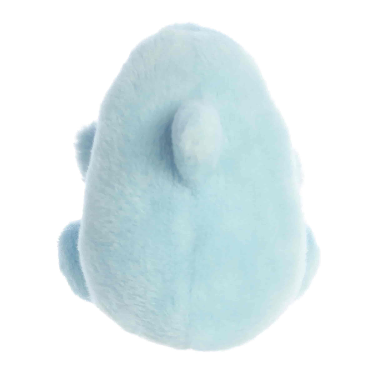 Clicks Dolphin™