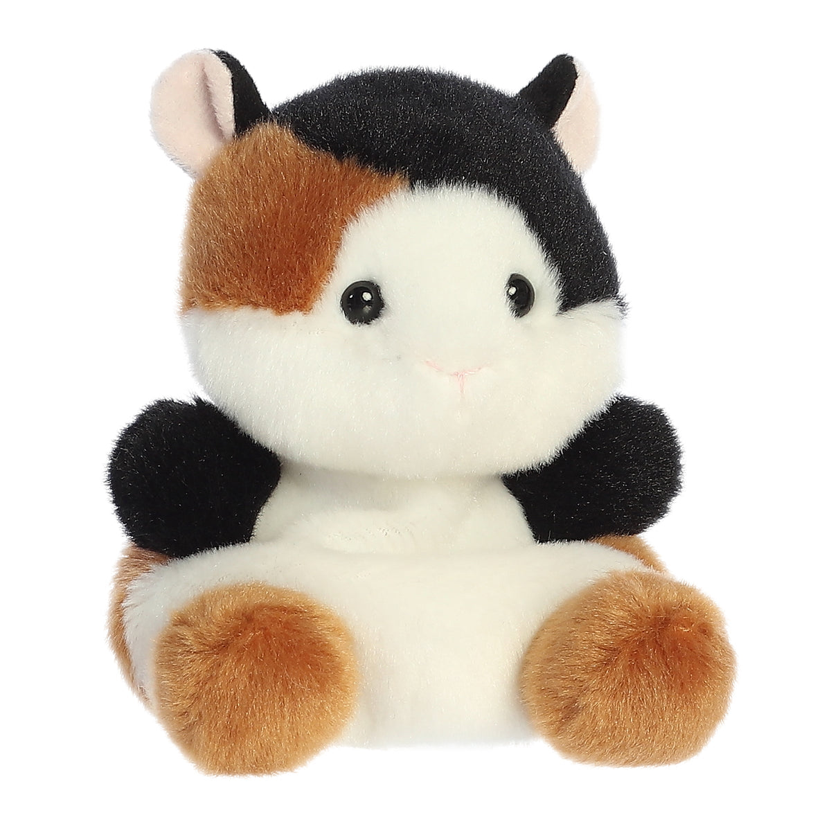Nutmeg Guinea Pig™