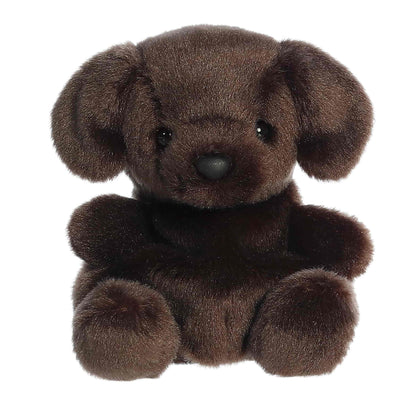 Sienna Chocolate Lab™