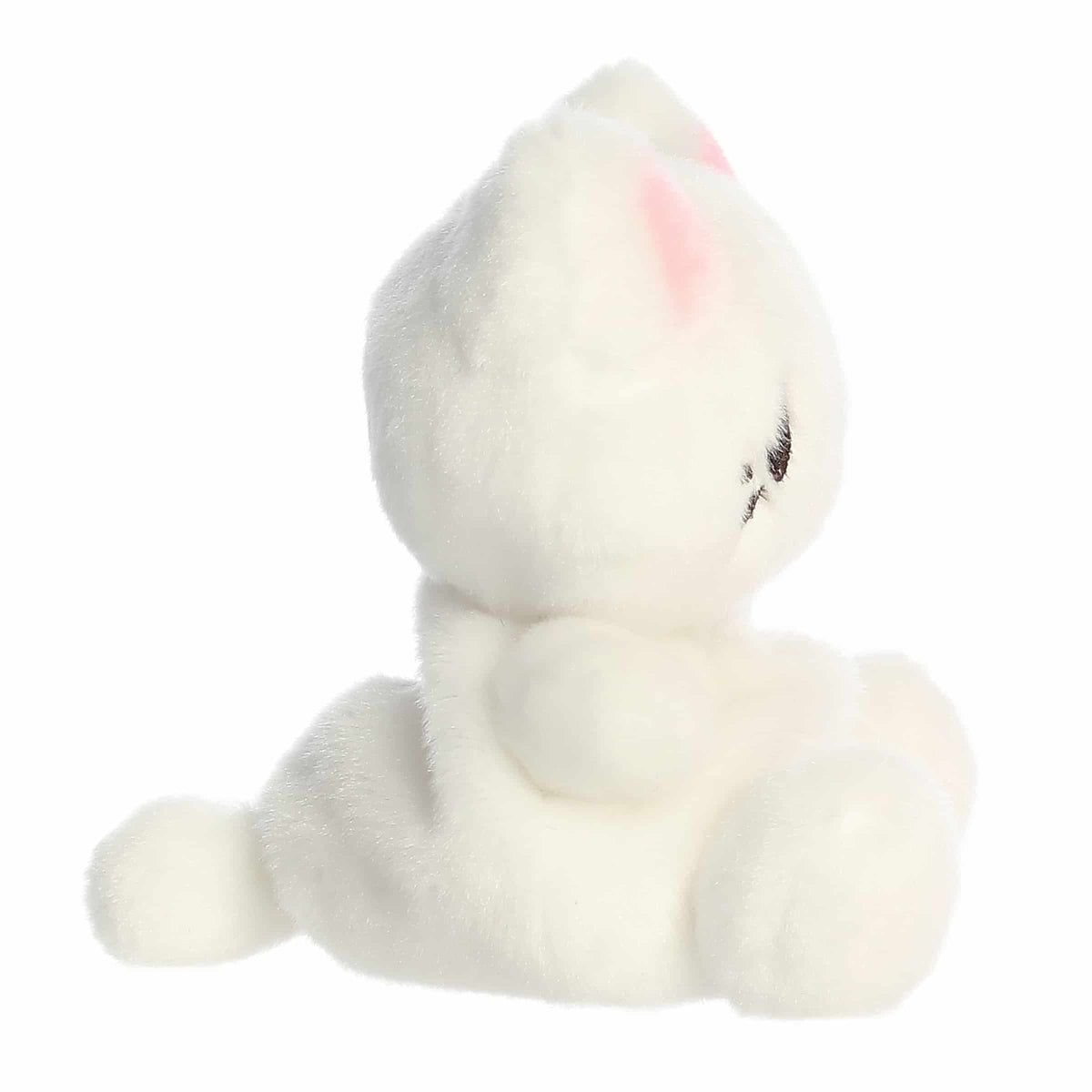 Custard Meowchi