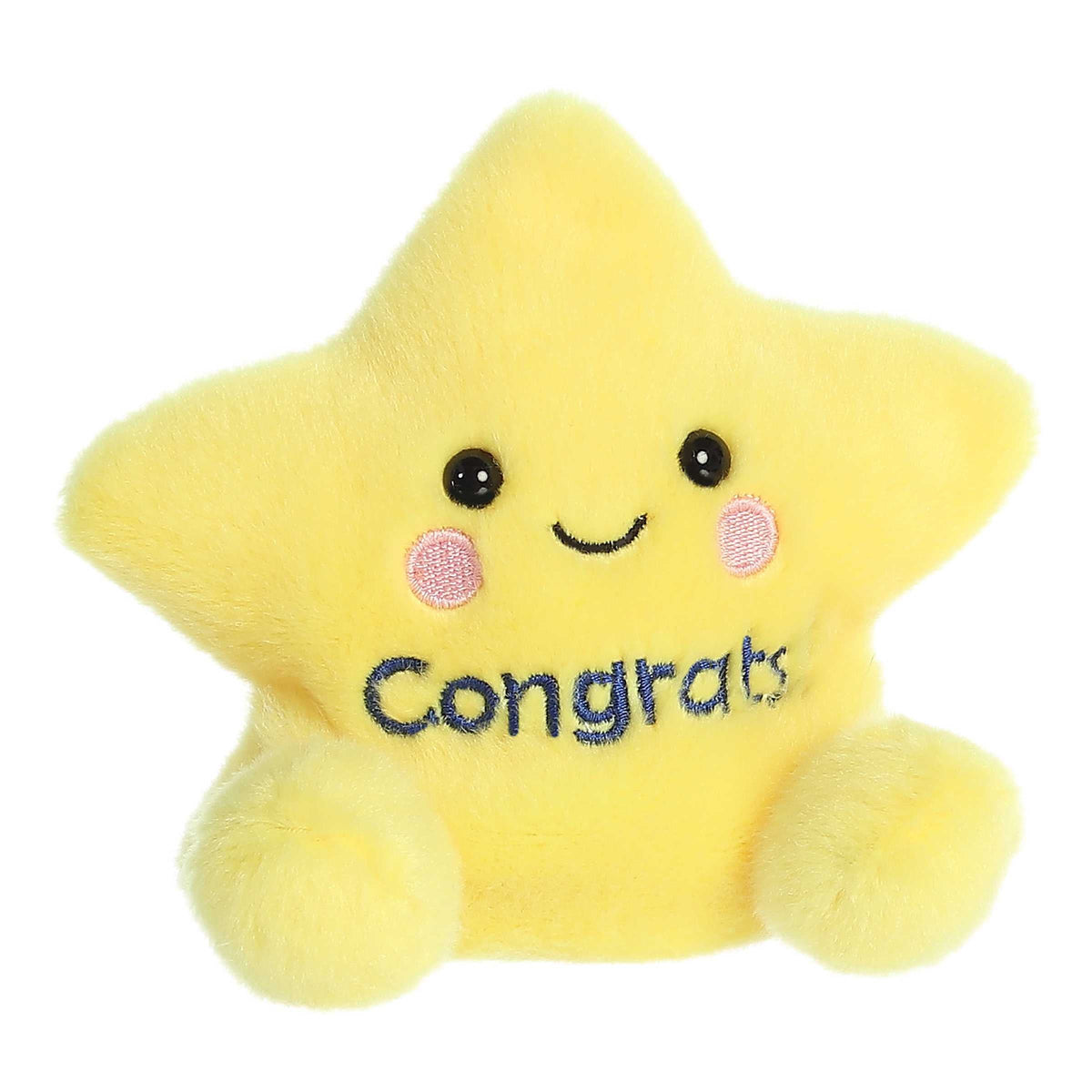 Galileo Congrats Star