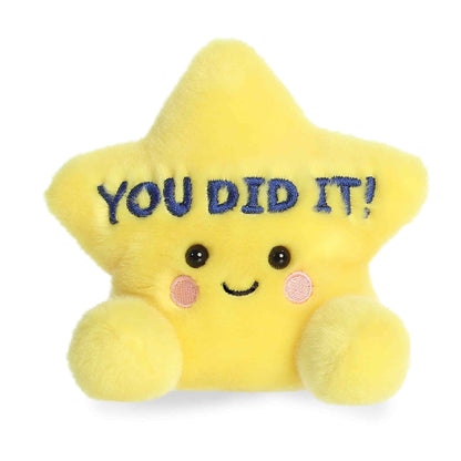 You Did It Star